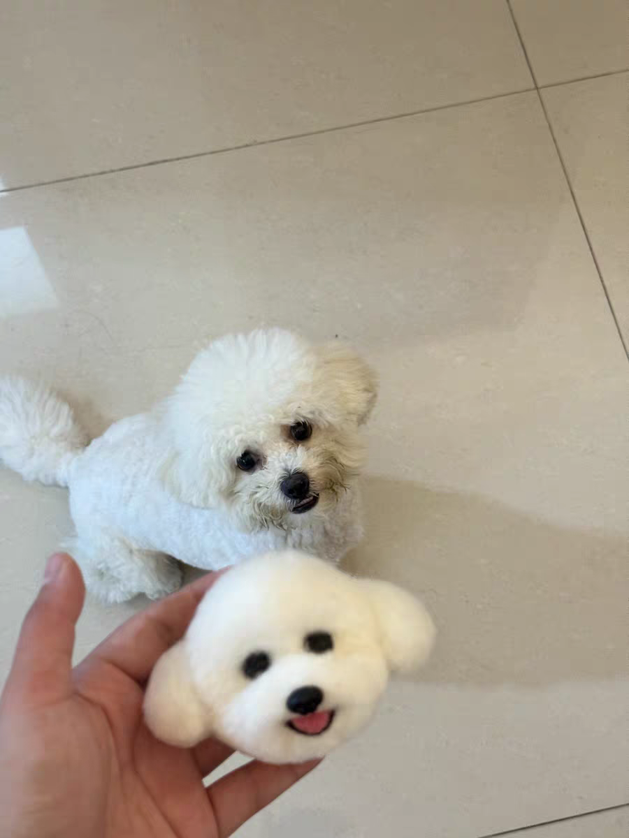 Dog head, short hair, single color.