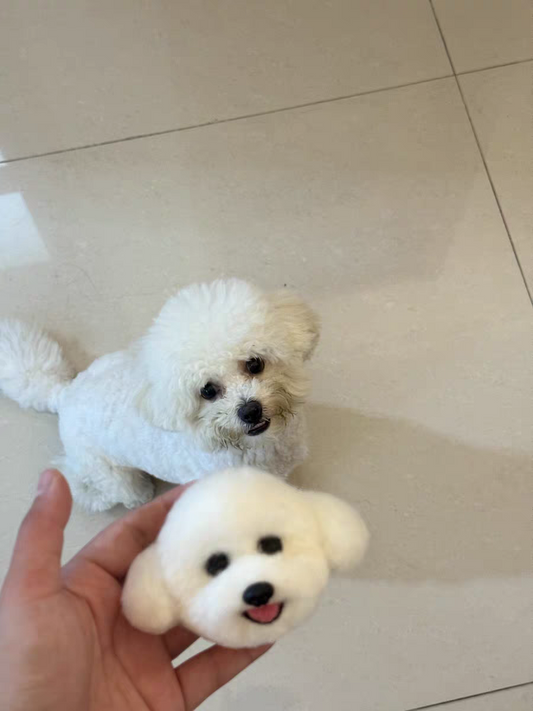 Dog head, short hair, single color.